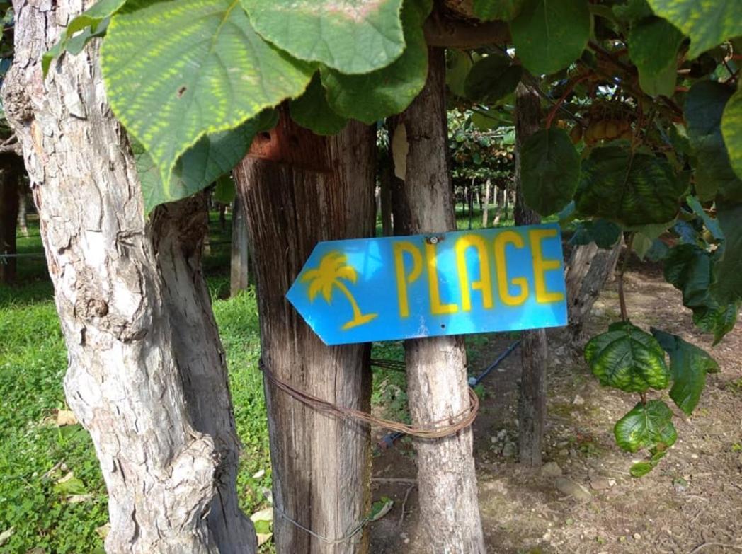 Chalet "Le Petit Olivier" Gites Appart 'Hotel L'Echappee Belle D'Aubenas Logement 2 Sur 3 ภายนอก รูปภาพ